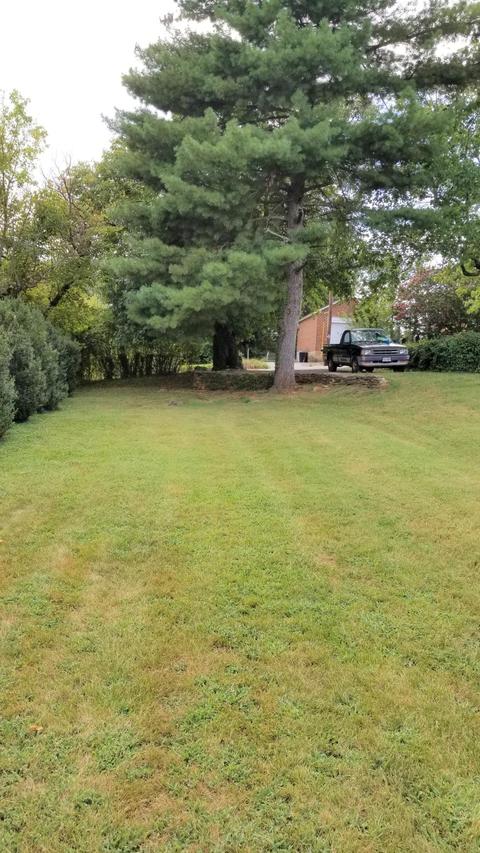 140 Maple Ave, Rocky Mount, VA 24151 photo 42