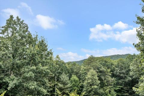 4120 Sunflower Rd, Pilot, VA 24138 photo 31