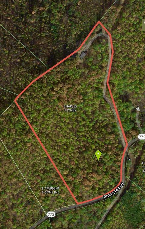 1005 Brown Hill Rd, Ferrum, VA 24088 photo 27