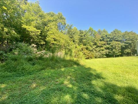1321 Mitchell Rd, Axton, VA 24054 photo 26