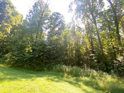 1321 Mitchell Rd, Axton, VA 24054 photo 8