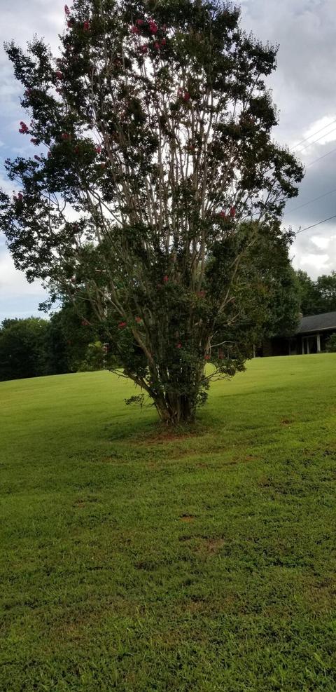 11833 Franklin St, Ferrum, VA 24088 photo 50