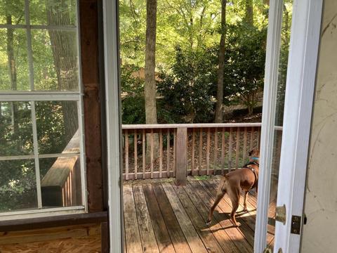 185 Hardy Ln, Penhook, VA 24137 photo 20