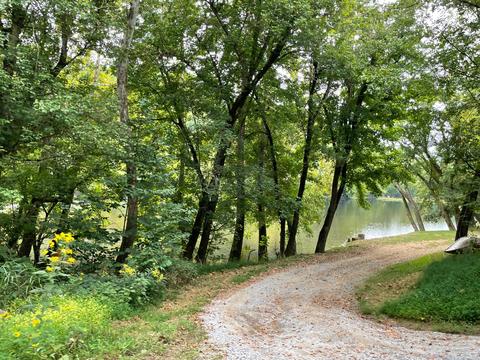 581 River Rd, Buchanan, VA 24066 photo 30