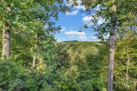 110 Chimney Sweep Ct, Goodview, VA 24095 photo 43