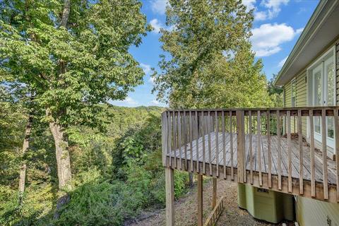 110 Chimney Sweep Ct, Goodview, VA 24095 photo 29