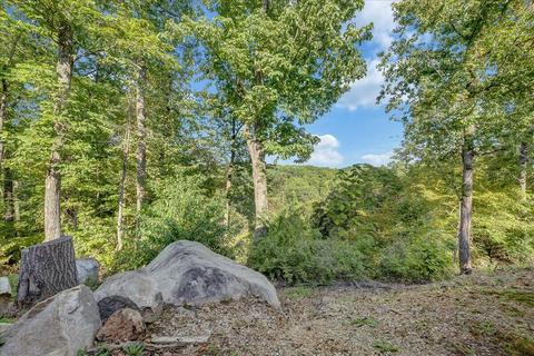 110 Chimney Sweep Ct, Goodview, VA 24095 photo 37
