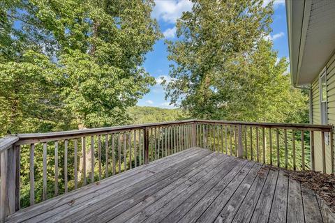 110 Chimney Sweep Ct, Goodview, VA 24095 photo 19