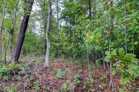 1763 Pendleton Rd, Thaxton, VA 24174 photo 32