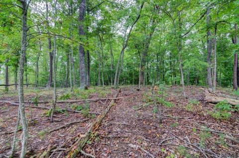 1763 Pendleton Rd, Thaxton, VA 24174 photo 30
