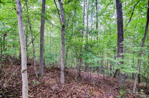 1763 Pendleton Rd, Thaxton, VA 24174 photo 31