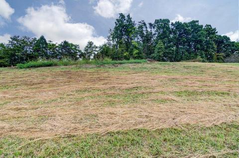 1763 Pendleton Rd, Thaxton, VA 24174 photo 29