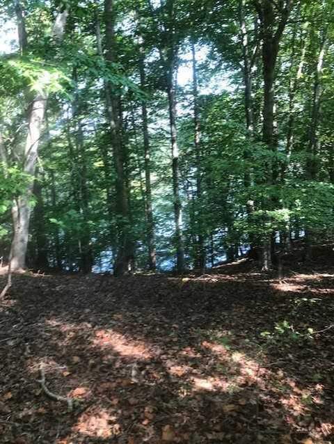lot3 Cathedral Oaks Ln, Wirtz, VA 24184