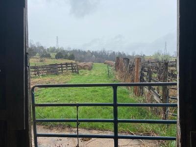 1375 Simmons Mill Rd, Thaxton, VA 24174 photo 24