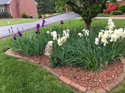 5016 Britaney Rd, Roanoke, VA 24012 photo 26