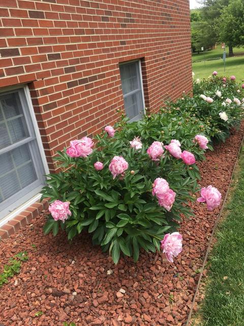 5016 Britaney Rd, Roanoke, VA 24012 photo 27