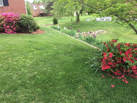 5016 Britaney Rd, Roanoke, VA 24012 photo 28