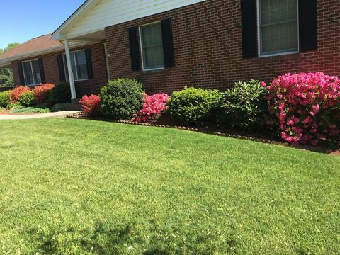 5016 Britaney Rd, Roanoke, VA 24012 photo 2
