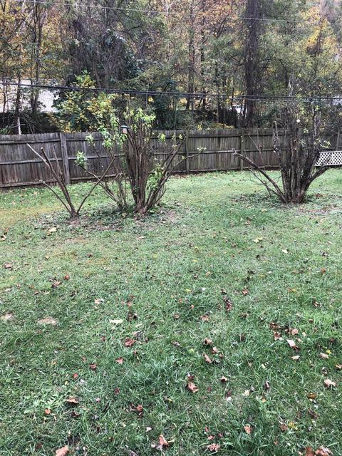 1611 E Dolly Ann Dr, Covington, VA 24426 photo 10
