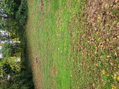 1730 Eastern Ave NE, Roanoke, VA 24012 photo 8