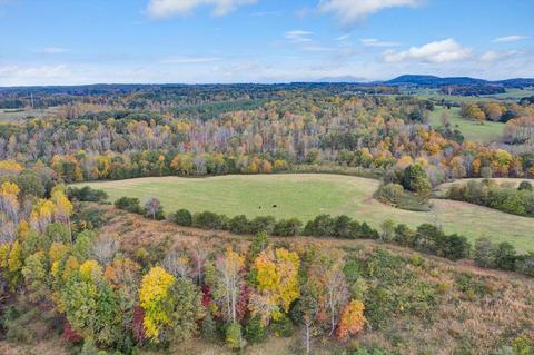 2177 Lipscomb Rd, Moneta, VA 24121 photo 59