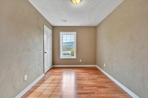 392 4th St, Buchanan, VA 24066 photo 20