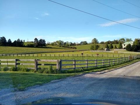 151 Cedar Ln, Buchanan, VA 24066 photo 32