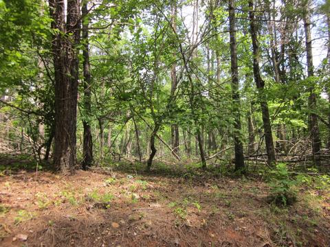 lot29 Red Valley Rd, Boones Mill, VA 24065