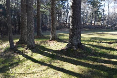1554 Daniels Run Rd NE, Check, VA 24072 photo 25