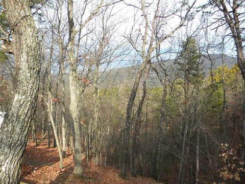3311 Windfall Dr, Salem, VA 24153 photo 3