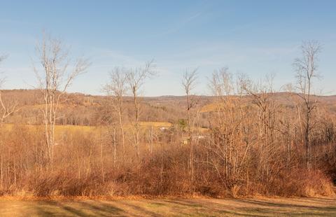 367 Cannadays Gap Rd NE, Floyd, VA 24091 photo 101