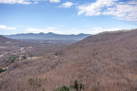 1463 Tower Rd, Blue Ridge, VA 24064