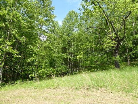 900 Bridgewater Ln, Ferrum, VA 24088 photo 22