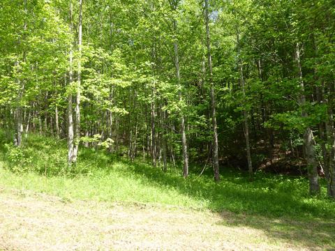 900 Bridgewater Ln, Ferrum, VA 24088 photo 23