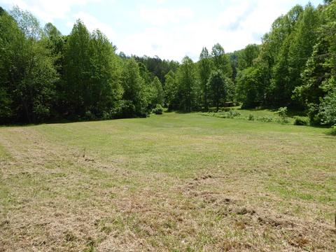 900 Bridgewater Ln, Ferrum, VA 24088 photo 20