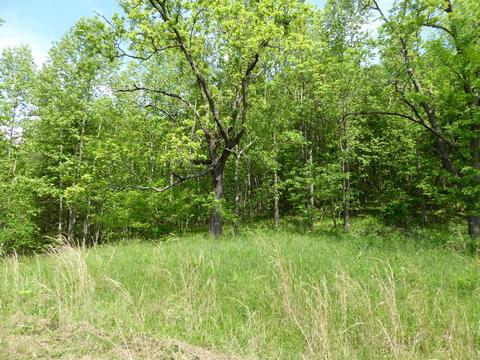 900 Bridgewater Ln, Ferrum, VA 24088 photo 21