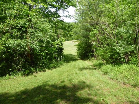 900 Bridgewater Ln, Ferrum, VA 24088 photo 9