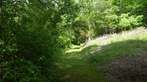 900 Bridgewater Ln, Ferrum, VA 24088 photo 8