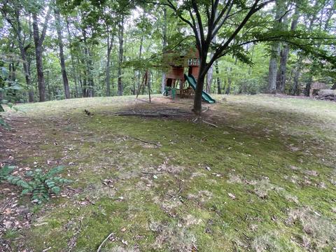 41 Turtleback Path, Hardy, VA 24101 photo 29