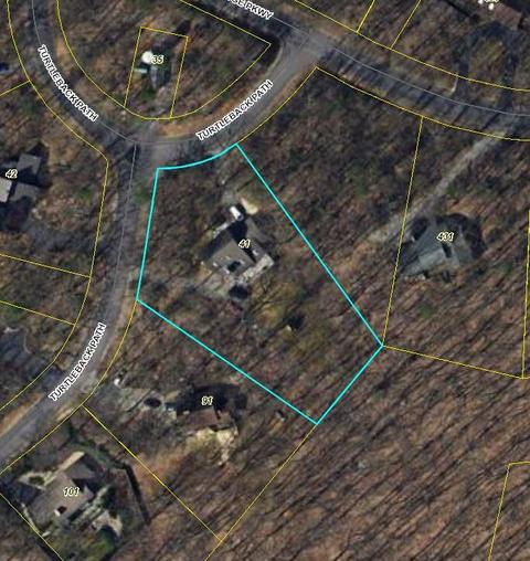 41 Turtleback Path, Hardy, VA 24101 photo 57