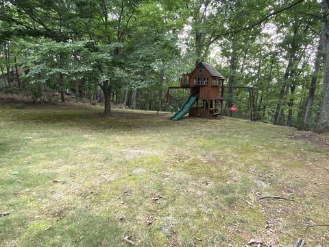 41 Turtleback Path, Hardy, VA 24101 photo 28