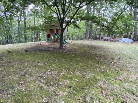 41 Turtleback Path, Hardy, VA 24101 photo 53