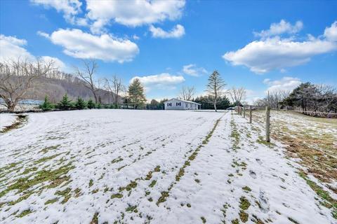 77 Hardbarger Rd, Buchanan, VA 24066 photo 29