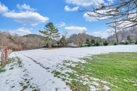 77 Hardbarger Rd, Buchanan, VA 24066 photo 28