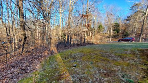 108 Tosh Ln, Goodview, VA 24095 photo 6