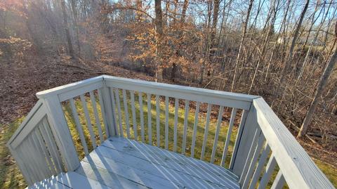 108 Tosh Ln, Goodview, VA 24095 photo 10