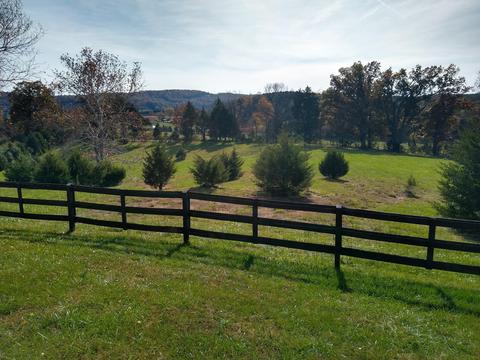612 Cedar Ln, Buchanan, VA 24066 photo 70