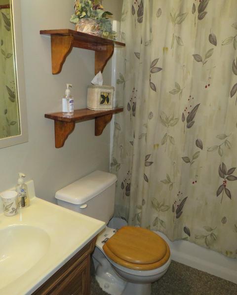 612 Cedar Ln, Buchanan, VA 24066 photo 51