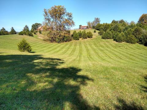 612 Cedar Ln, Buchanan, VA 24066 photo 66