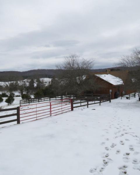 612 Cedar Ln, Buchanan, VA 24066 photo 60